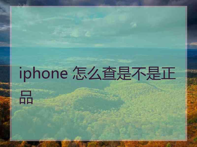 iphone 怎么查是不是正品