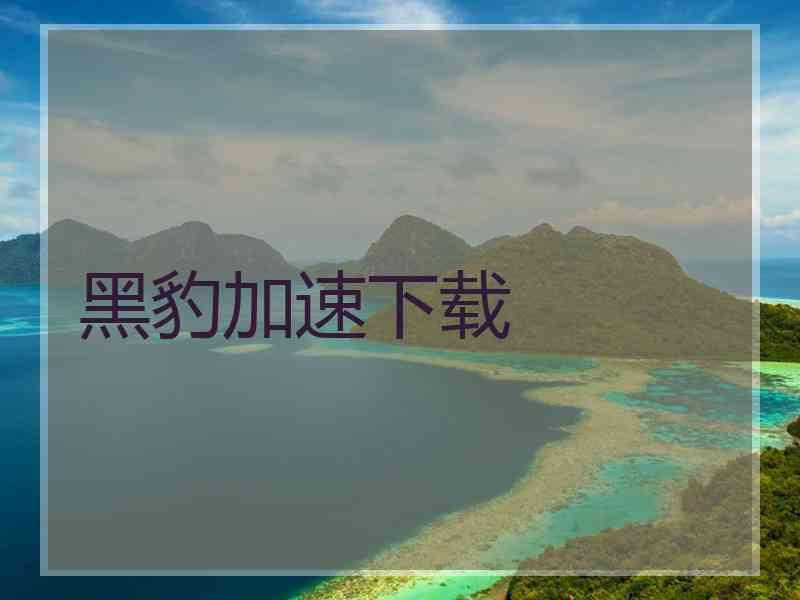 黑豹加速下载
