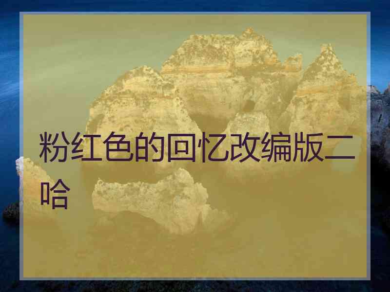 粉红色的回忆改编版二哈