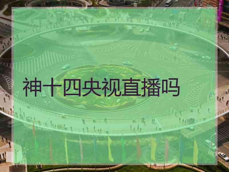 神十四央视直播吗
