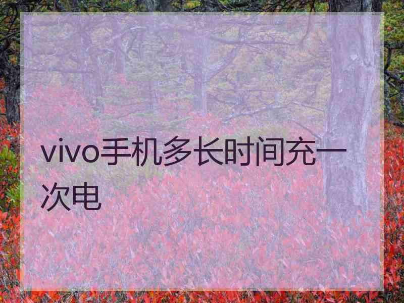 vivo手机多长时间充一次电