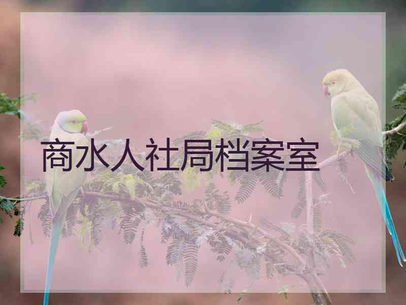 商水人社局档案室