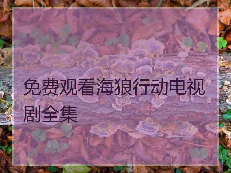 免费观看海狼行动电视剧全集