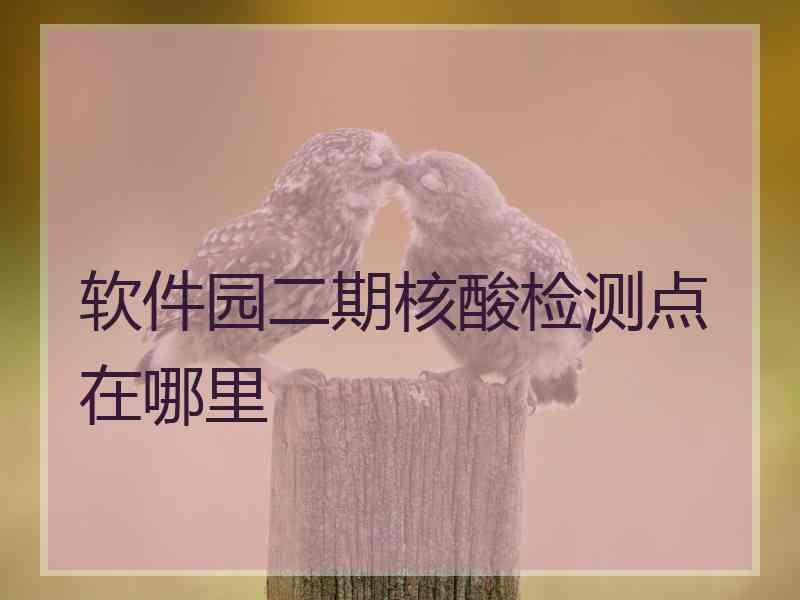 软件园二期核酸检测点在哪里