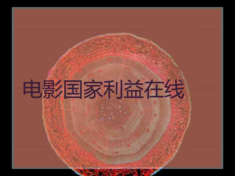 电影国家利益在线