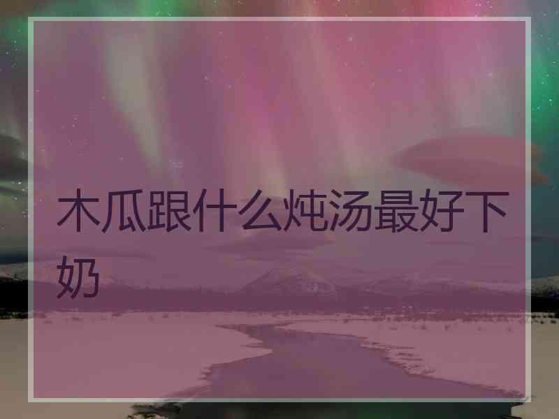 木瓜跟什么炖汤最好下奶