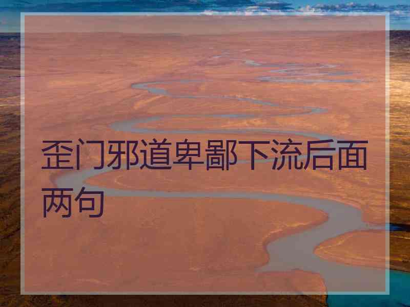 歪门邪道卑鄙下流后面两句