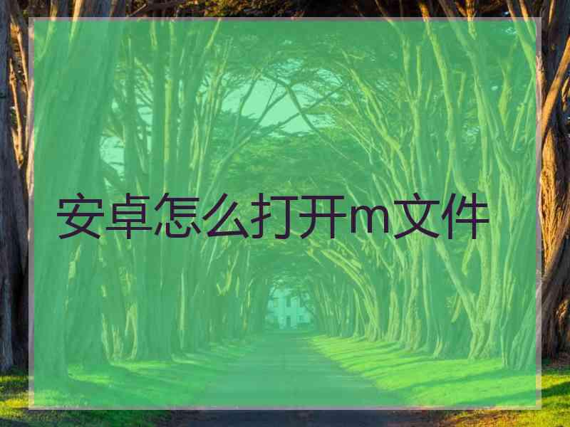 安卓怎么打开m文件
