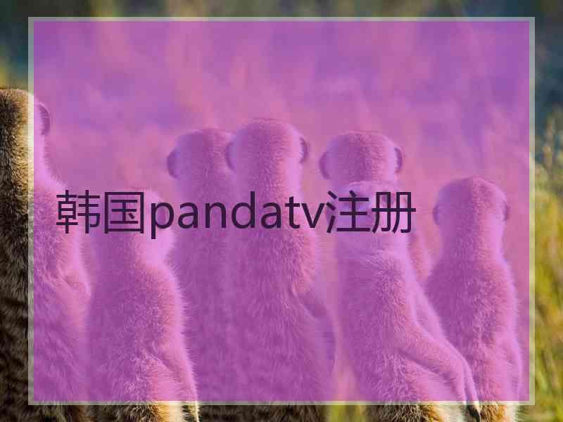 韩国pandatv注册