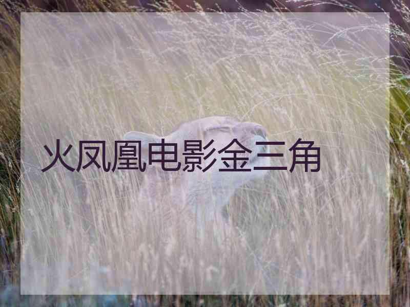 火凤凰电影金三角