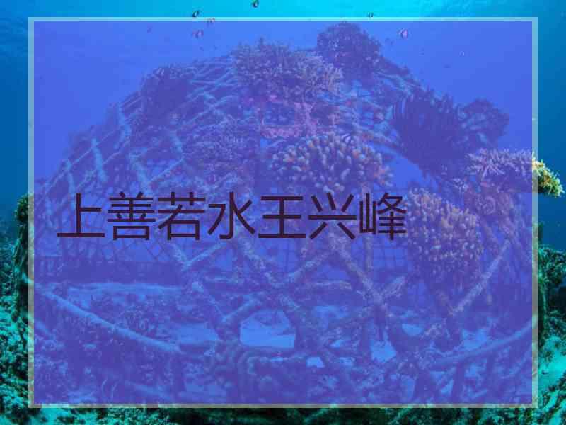 上善若水王兴峰