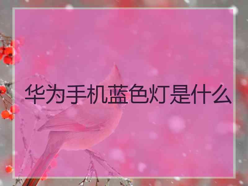 华为手机蓝色灯是什么
