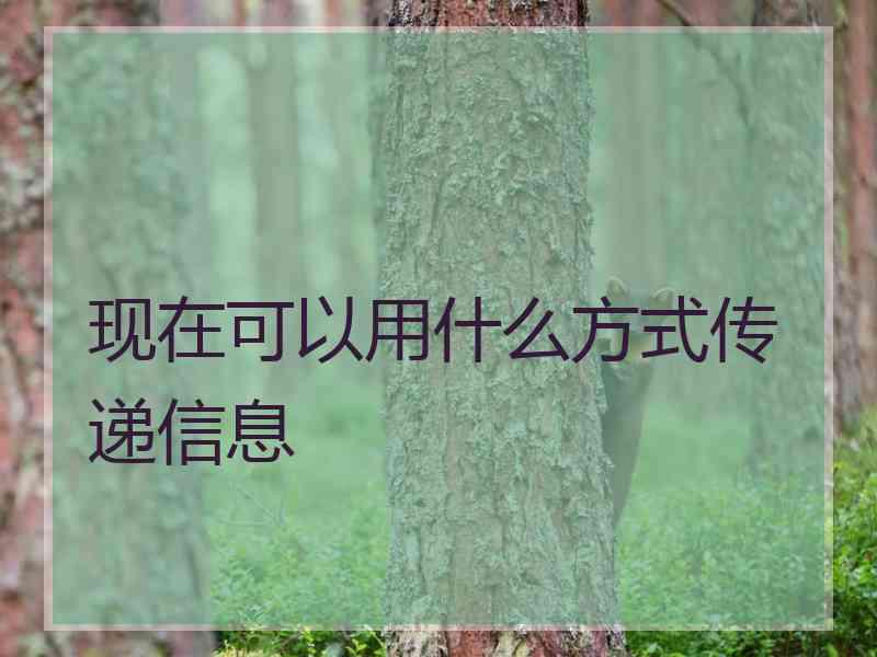 现在可以用什么方式传递信息