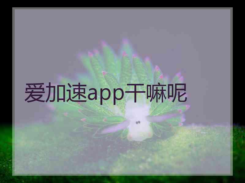 爱加速app干嘛呢