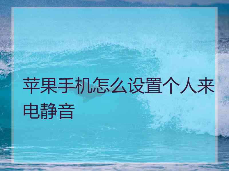 苹果手机怎么设置个人来电静音