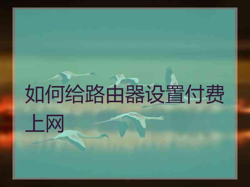 如何给路由器设置付费上网