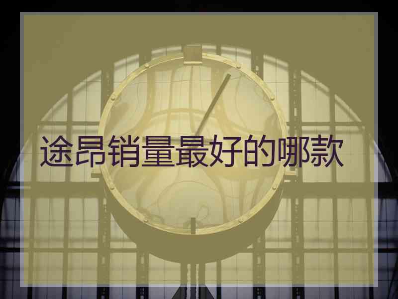 途昂销量最好的哪款