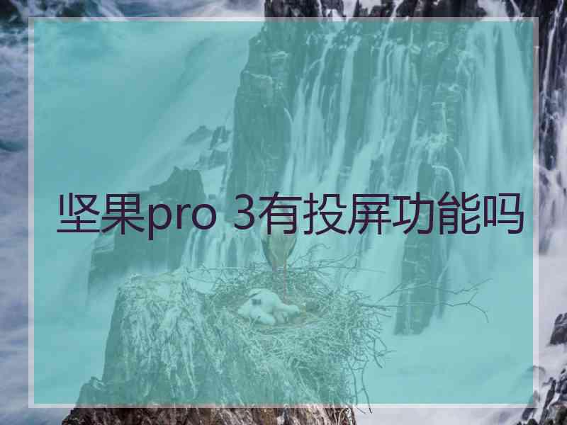 坚果pro 3有投屏功能吗
