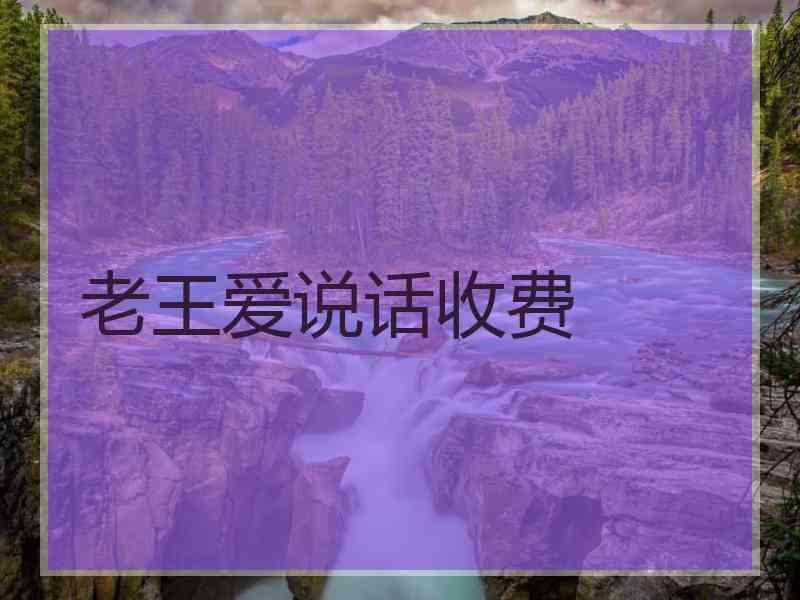 老王爱说话收费