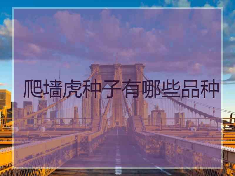 爬墙虎种子有哪些品种