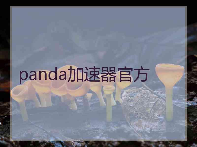 panda加速器官方