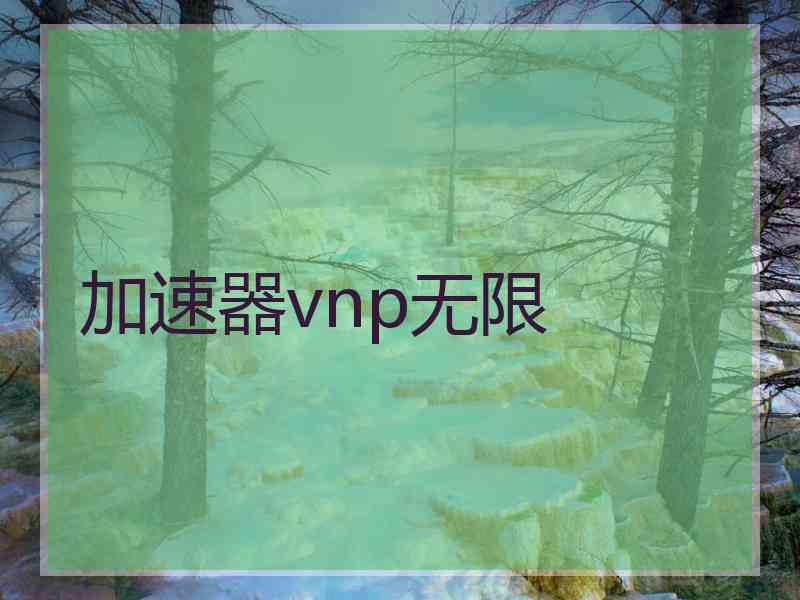 加速器vnp无限
