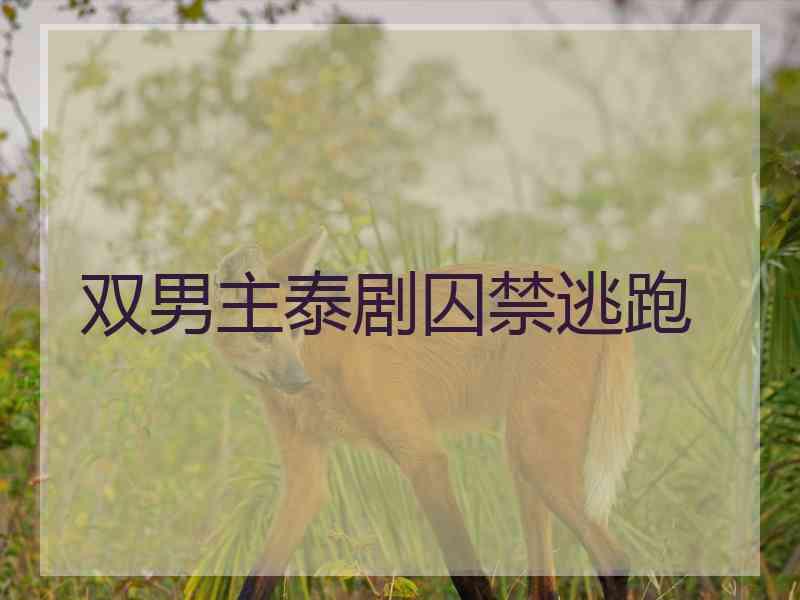 双男主泰剧囚禁逃跑