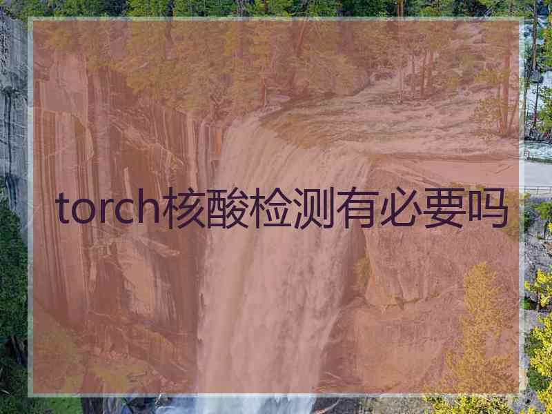 torch核酸检测有必要吗
