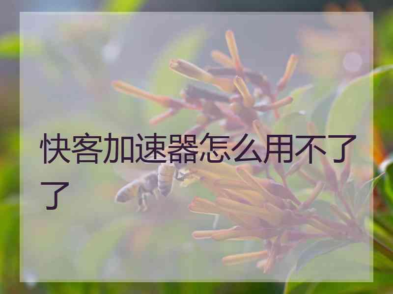 快客加速器怎么用不了了