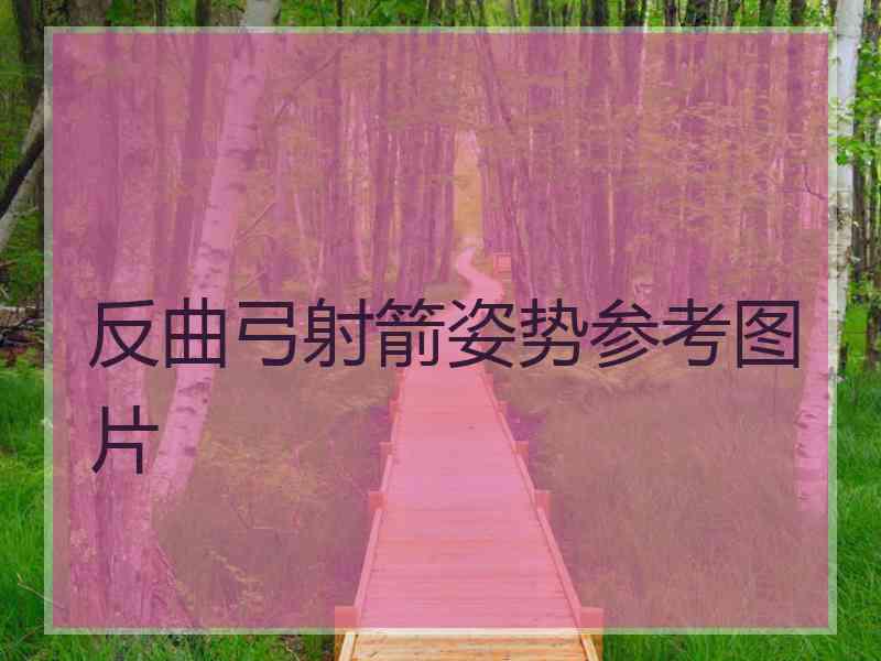 反曲弓射箭姿势参考图片