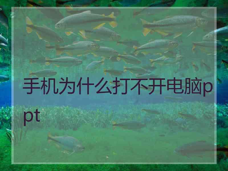 手机为什么打不开电脑ppt
