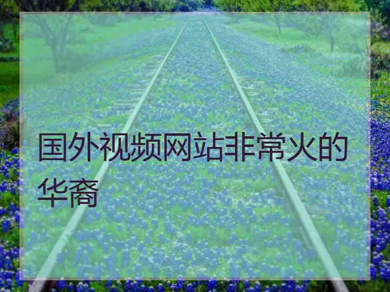 国外视频网站非常火的华裔