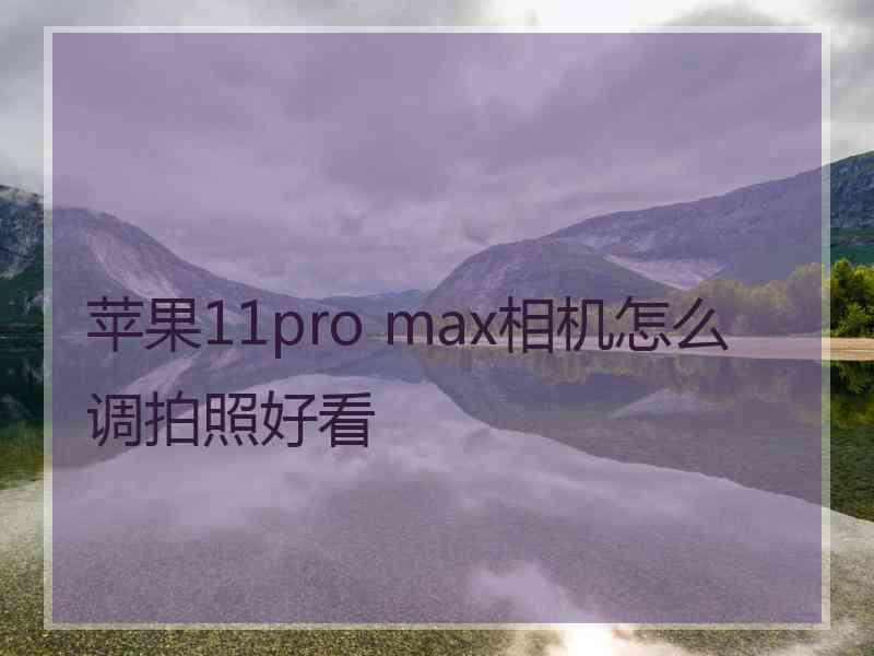 苹果11pro max相机怎么调拍照好看