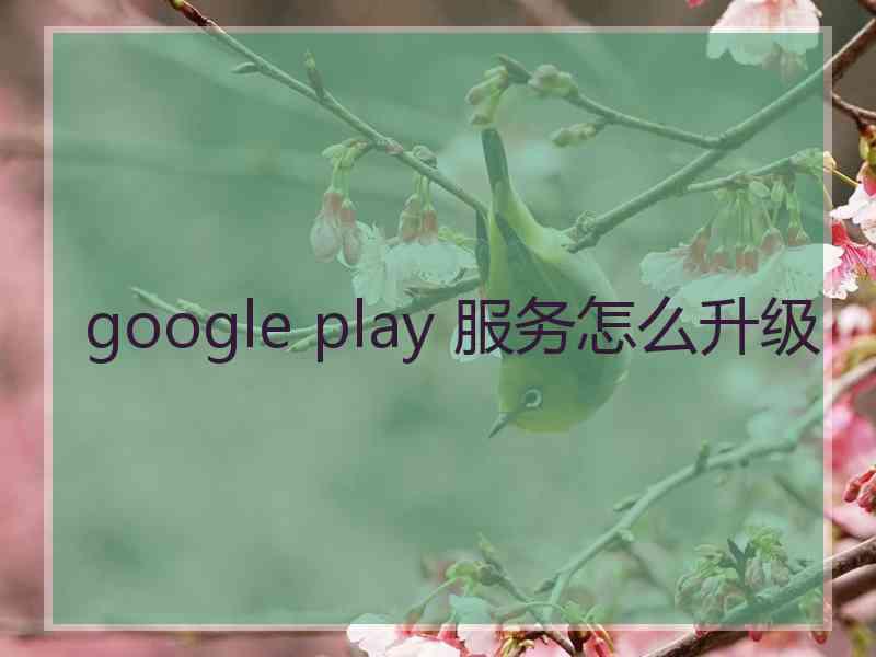 google play 服务怎么升级