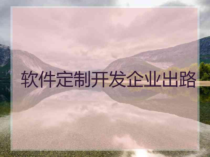 软件定制开发企业出路