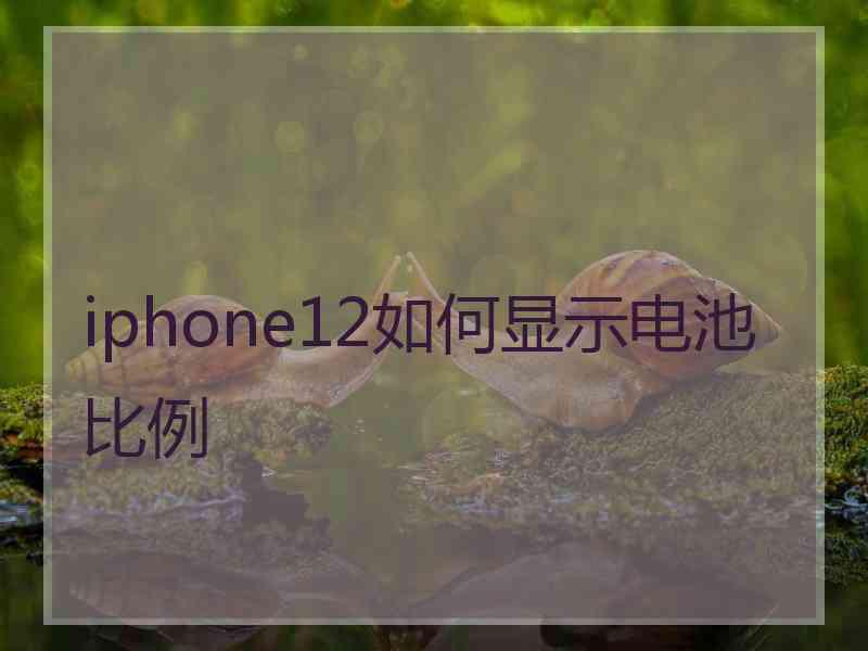 iphone12如何显示电池比例