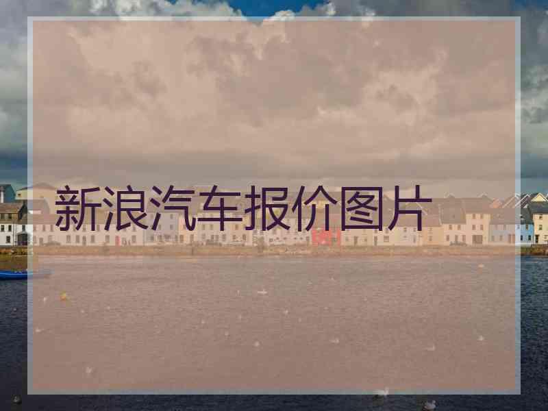 新浪汽车报价图片