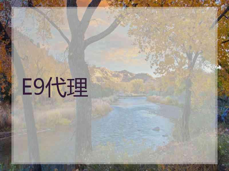 E9代理