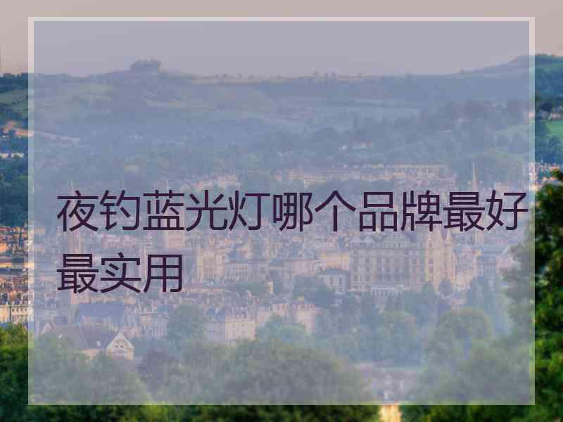 夜钓蓝光灯哪个品牌最好最实用