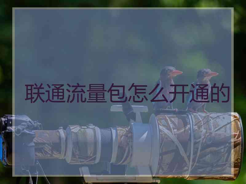 联通流量包怎么开通的