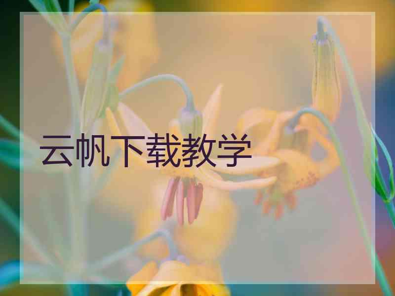 云帆下载教学
