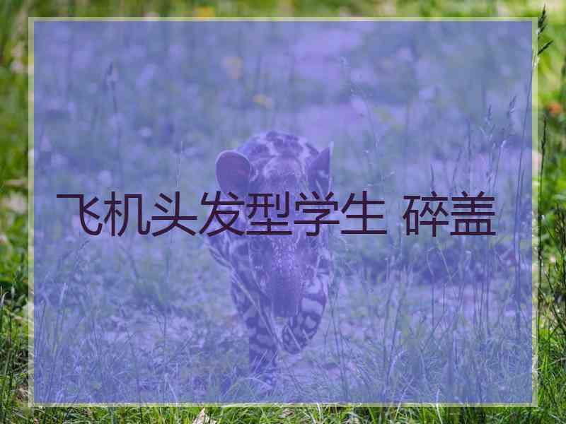 飞机头发型学生 碎盖
