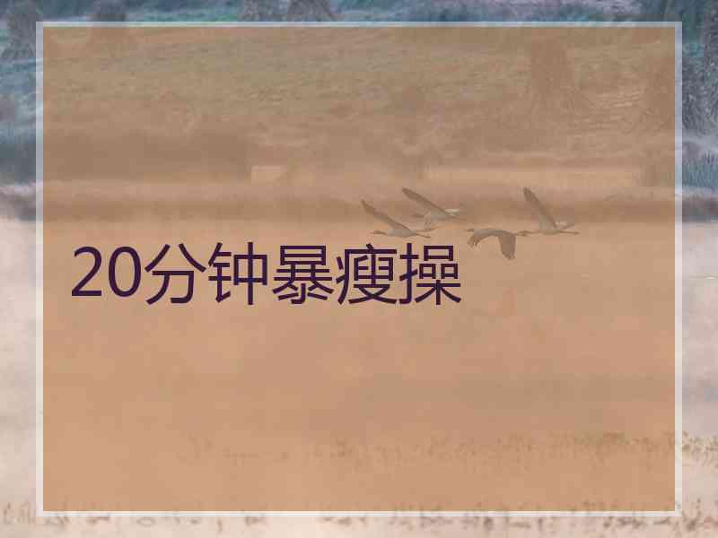 20分钟暴瘦操