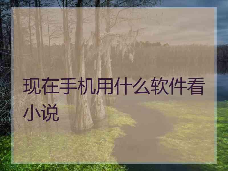 现在手机用什么软件看小说