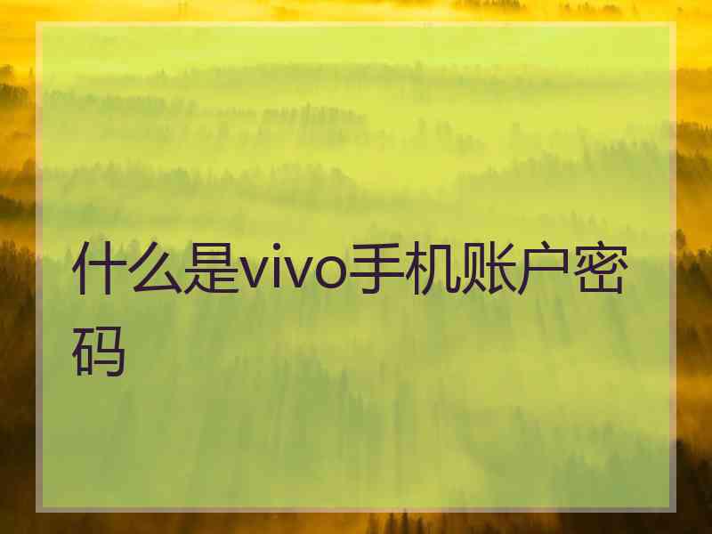 什么是vivo手机账户密码