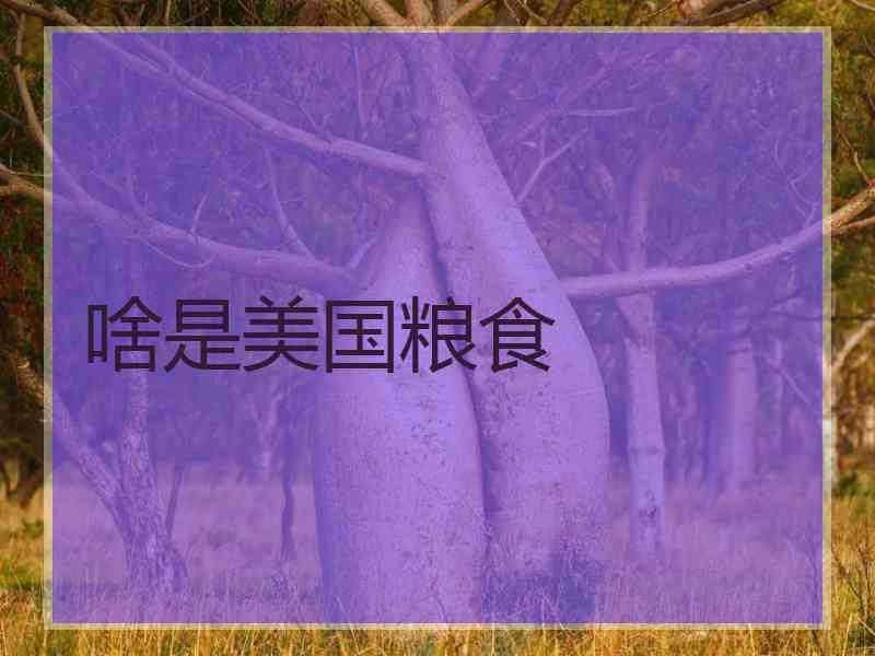 啥是美国粮食