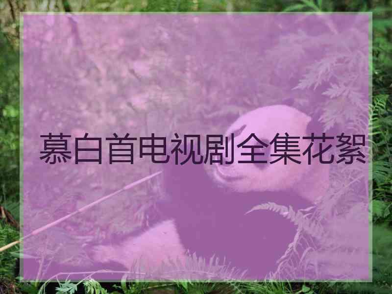 慕白首电视剧全集花絮