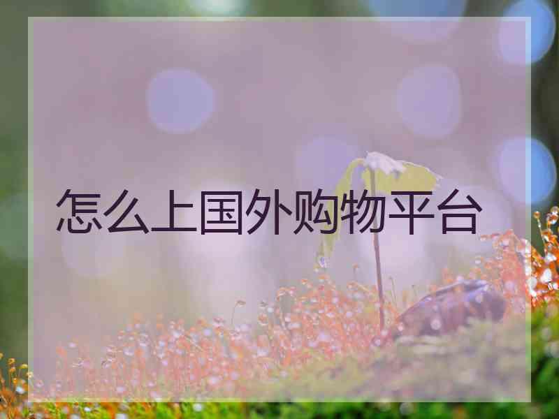 怎么上国外购物平台