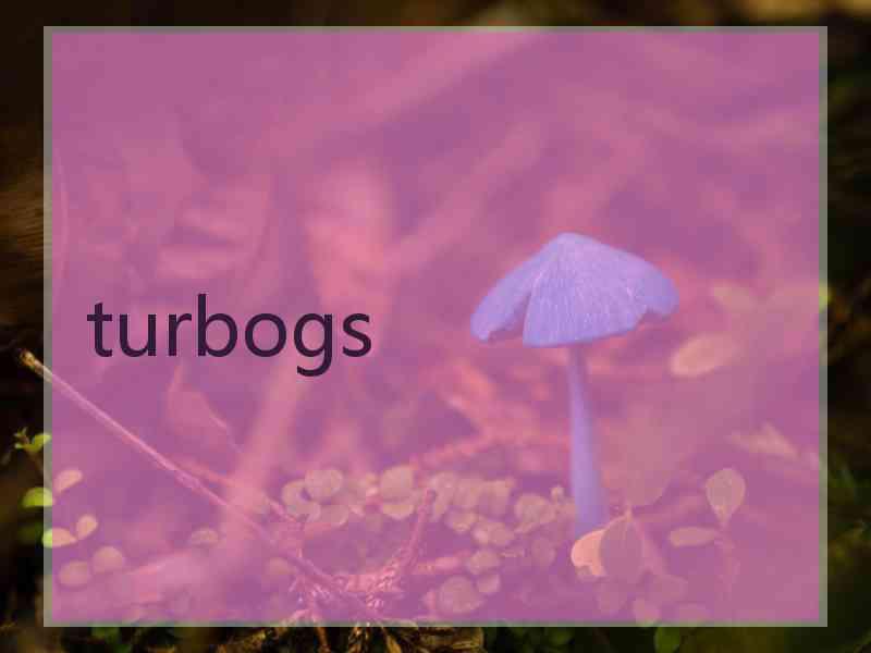 turbogs