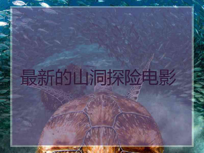 最新的山洞探险电影
